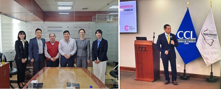 ����-����ע��(ƽ̨��վ)