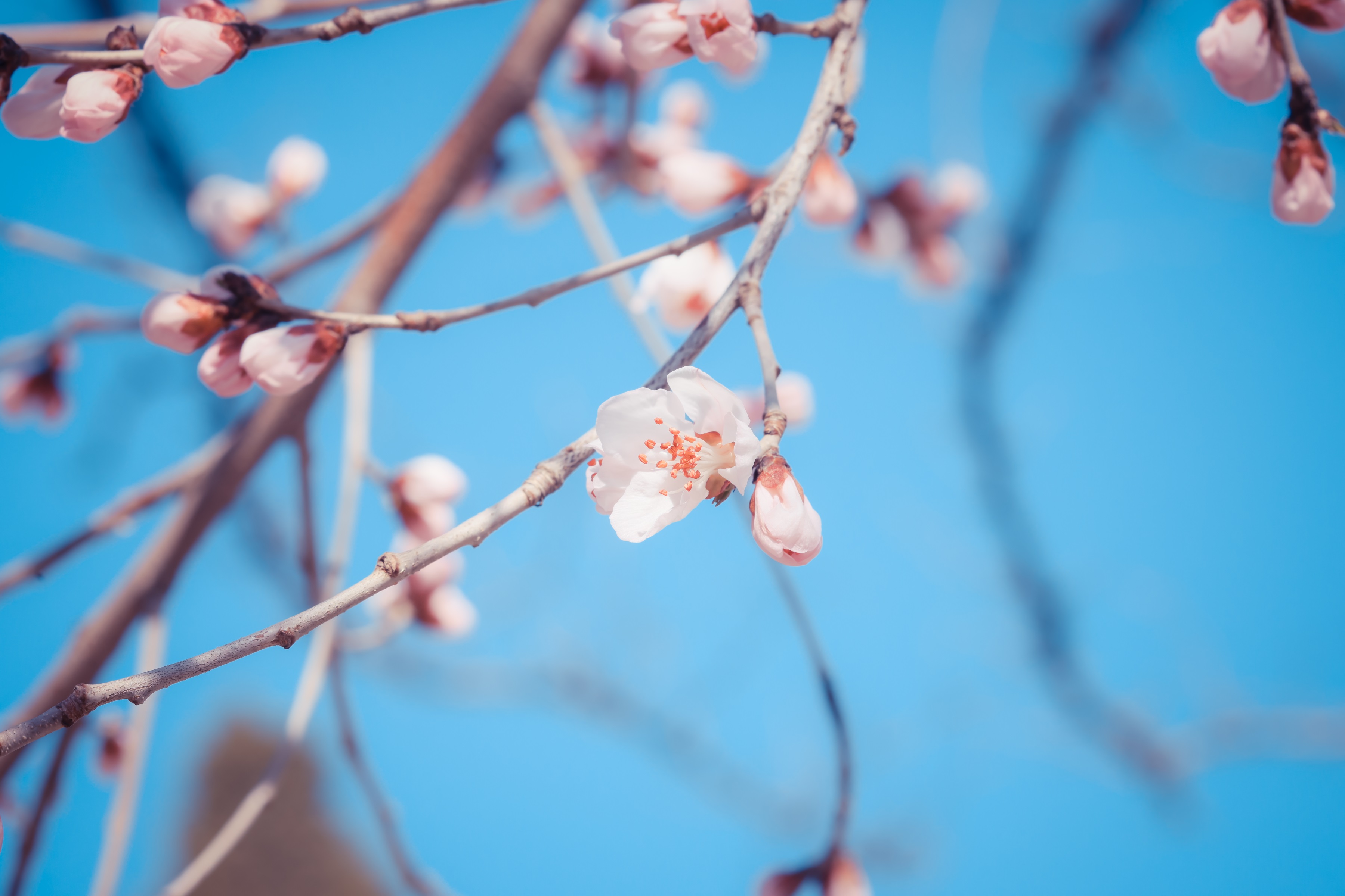 极悦-极悦注册(平台网站)
